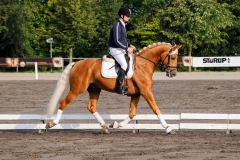 matpr2008_5923
