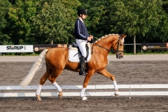 matpr2008_5925