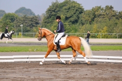 matpr2008_5934