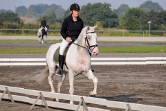 matpr2008_5965