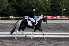 matpr2008_6001