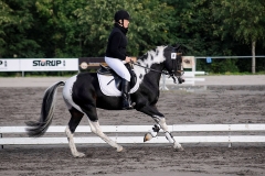 matpr2008_6006