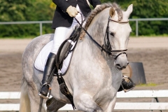 matpr2008_6067