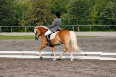 matpr2008_6078