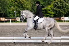 matpr2008_6108