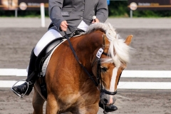 matpr2008_6113