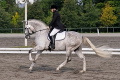 matpr2008_6120