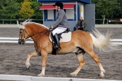 matpr2008_6124