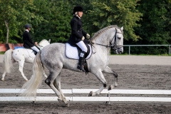 matpr2008_6128