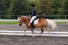 matpr2008_6169