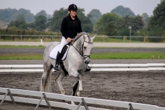 matpr2008_6171