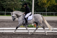 matpr2008_6174