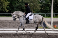 matpr2008_6175