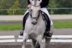 matpr2008_6181