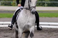 matpr2008_6183