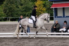 matpr2008_6211