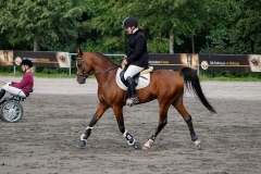 matpr2008_6253
