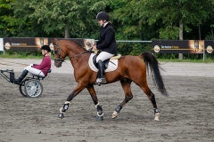 matpr2008_6255