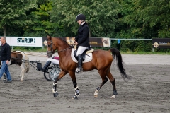 matpr2008_6257