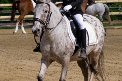 rrerk2009_8526