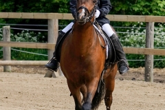 rrerk2009_8538