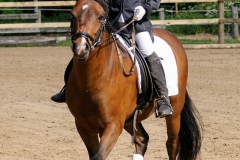 rrerk2009_8542