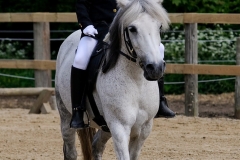 rrerk2009_8579