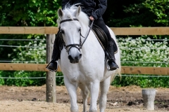 rrerk2009_8587