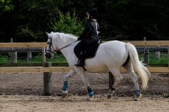 rrerk2009_8590