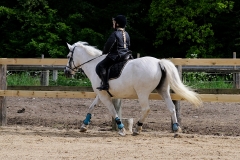rrerk2009_8594
