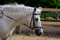 rrerk2009_8608