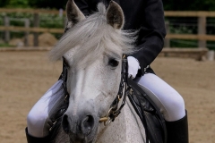 rrerk2009_8677
