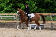 rrerk2009_8951