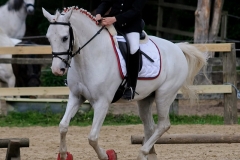 rrerk2009_8989