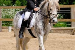 rrerk2009_9019