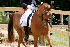 rrerk2009_9081