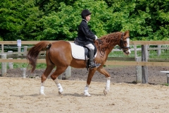 rrerk2009_9165