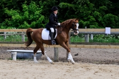 rrerk2009_9188