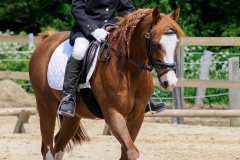 rrerk2009_9190