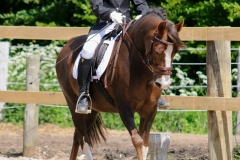rrerk2009_9201