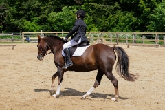 rrerk2009_9260