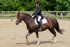 rrerk2009_9368