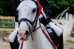 rrerk2009_9426