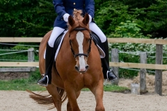rrerk2009_9515